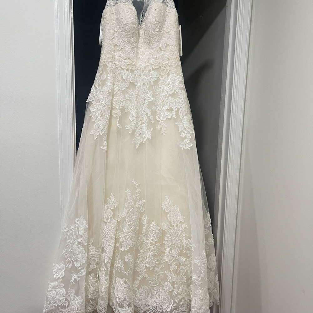 David's Bridal Ivory Champagne Gown